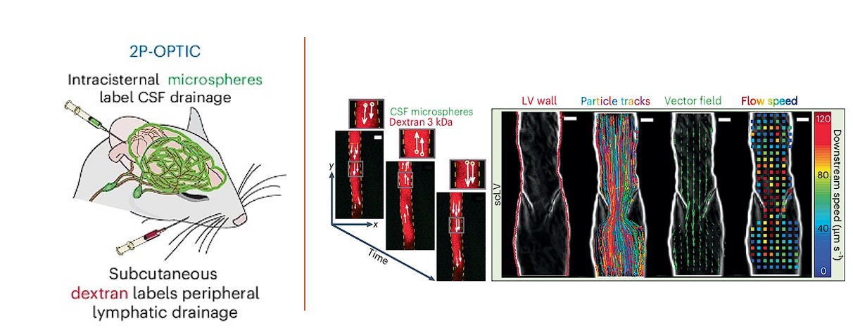 Image of Du et al. methods
