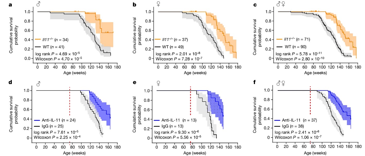 Figure 6 from Widjaja et al., (2024)