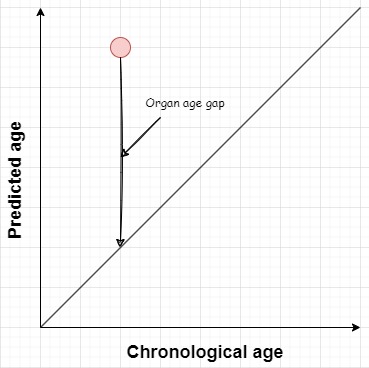 Image of the organ age gap
